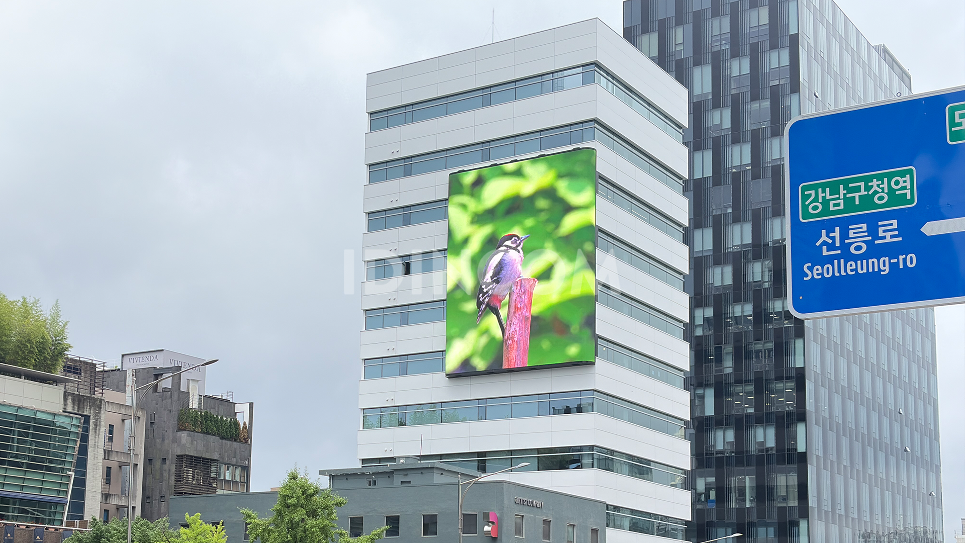 K싸인빌딩 M